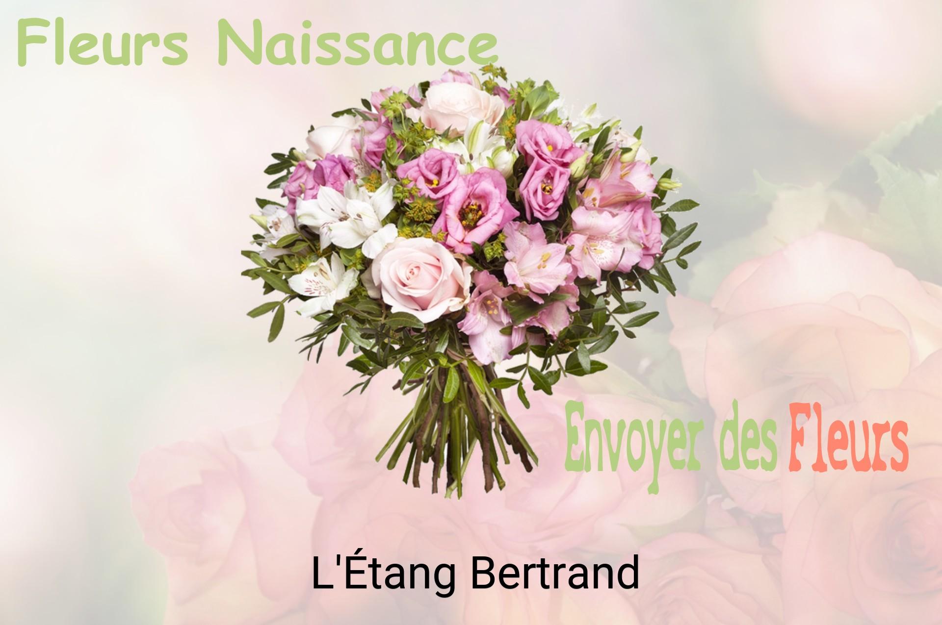 Bouquet de fleurs de naissance livré à L'Étang-Bertrand